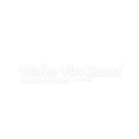 Walter Van Gastel website & webshop | Infanion