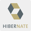 Infanion masters Hibernate